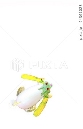 野菜うさぎ干支 夏野菜ズッキーニ, ミニトマト, シロナス, シロゴーヤ, 牛蒡の花 野菜うさぎ干支 夏野菜ズッキーニ, ミニトマト, シロナス, シロゴーヤ, 牛蒡の花 94361028