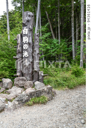 白駒の池入り口 白駒の池入り口 94361416
