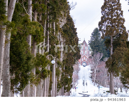 トラピスト修道院前の雪の並木道　 94361963