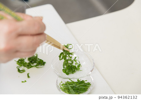 【巻いた大葉を千切りにし薬味を作る】 【巻いた大葉を千切りにし薬味を作る】 94362132