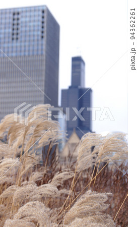 CHICAGO, ILLINOIS, UNITED STATES - 11 DEC 2015: Downtown skyscrapers and Willis Tower in the background 94362261