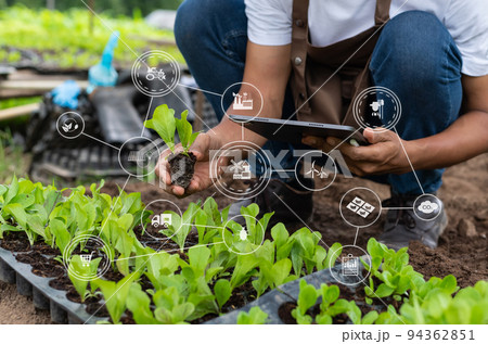Agriculture technology farmer woman holding tablet or tablet technology to research about agriculture problems analysis data and visual icon.Smart farming 94362851