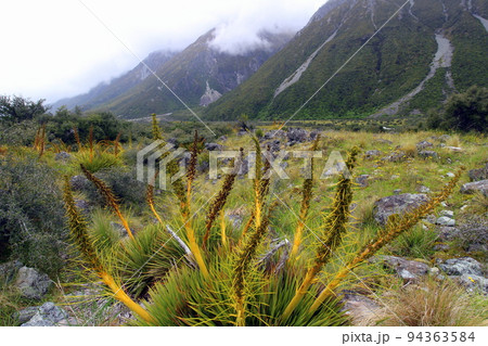 ニュージーランド_マウントクック02 94363584