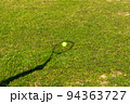 芝生の上のテニスボールとラケットの影 94363727