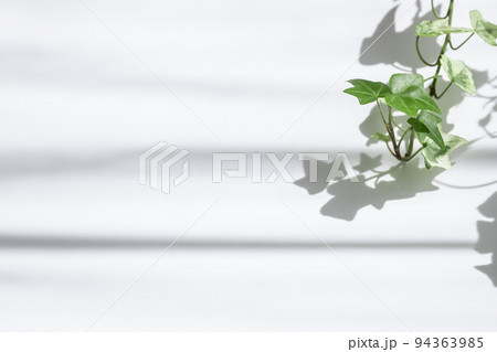 植物と影 ナチュラルな背景素材 植物と影 ナチュラルな背景素材 94363985