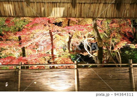 京都の紅葉 京都の紅葉 94364311