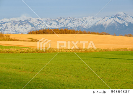 夕日に染まる春の美瑛 94364387