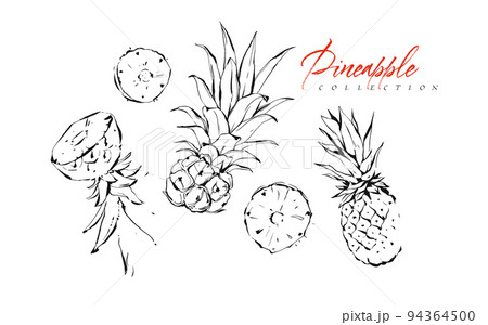 Hand drawn vector abstract exotic graphic ink textured tropical fruits pineapple illustrations collection set sketch drawing isolated on white background.Healthy lifestyle concept 94364500