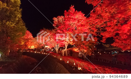 紅葉イルミネーション 紅葉イルミネーション 94364689