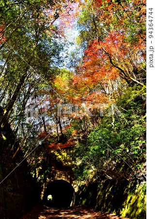福知山線 廃線敷と武庫川渓谷紅葉 福知山線 廃線敷と武庫川渓谷紅葉 94364744