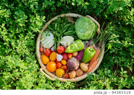 Top view of basket with many different vegetables herbs 94365319