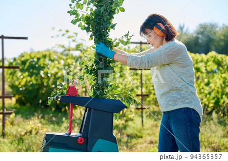 Woman using electric garden shredder for branches and bushes 94365357