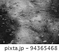 雨の波紋　rain ripples 94365468
