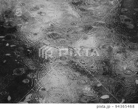 雨の波紋　rain ripples 94365468