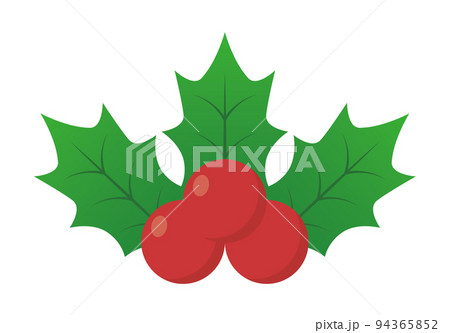 クリスマスホーリー  クリスマスの飾り 94365852