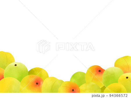 たくさんの梅 たくさんの梅 94366572