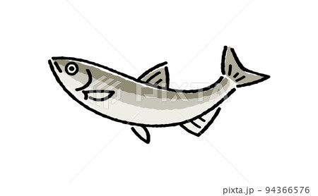 ワカサギ 94366576