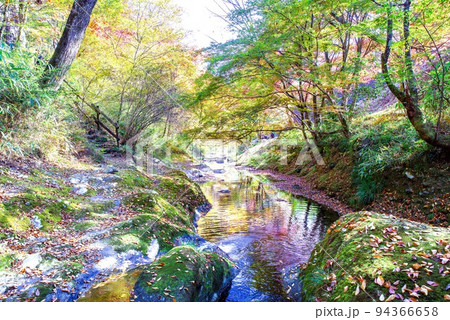 岩屋寺　紅葉 94366658