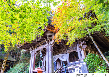 古岩屋寺　紅葉 94366961