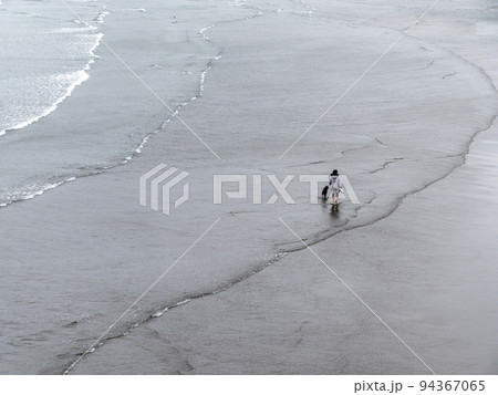 A girl walks with dog, shore. The owner and his pet are walking on the waves. A girl walks with dog, shore. The owner and his pet are walking on the waves. 94367065