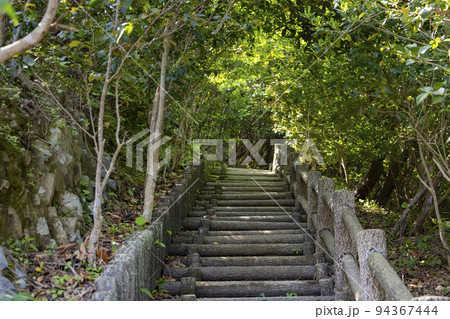 城岳 山頂遊歩道 城岳 山頂遊歩道 94367444
