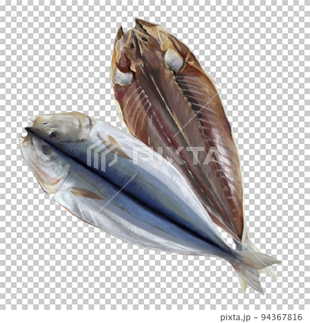 手描きのくさやのイラスト 94367816