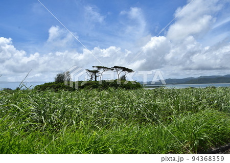 小浜島　海人公園 94368359