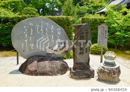 京都 隨心院 蓮弁祈願と小野小町歌碑 94368450