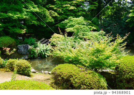 京都 隨心院の庭園 94368901