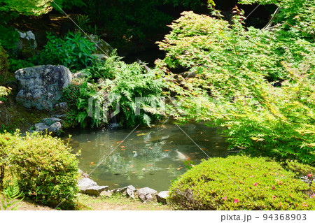 京都 隨心院の庭園 94368903