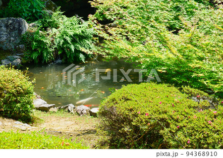 京都 隨心院の庭園 94368910