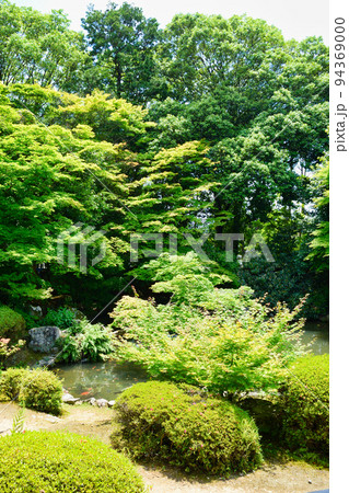 京都 隨心院の庭園 94369000