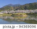 快晴の空の下で満開の桜と筑波山を望む北条大池 94369096
