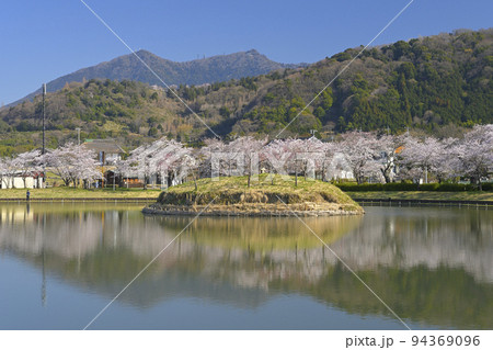 快晴の空の下で満開の桜と筑波山を望む北条大池 94369096