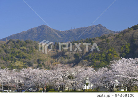 快晴の空の下で満開の桜と筑波山を望む北条大池 94369100