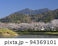 快晴の空の下で満開の桜と筑波山を望む北条大池 94369101