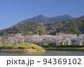 快晴の空の下で満開の桜と筑波山を望む北条大池 94369102