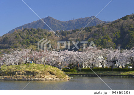 快晴の空の下で満開の桜と筑波山を望む北条大池 94369103