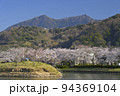 快晴の空の下で満開の桜と筑波山を望む北条大池 94369104