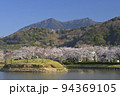 快晴の空の下で満開の桜と筑波山を望む北条大池 94369105