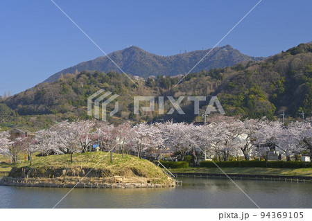 快晴の空の下で満開の桜と筑波山を望む北条大池 94369105