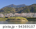 快晴の空の下で満開の桜と筑波山を望む北条大池 94369107