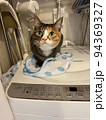 洗濯機の上の猫 94369327