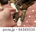 ネコの足 94369330