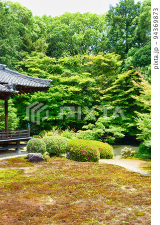 京都 隨心院の庭園 94369873