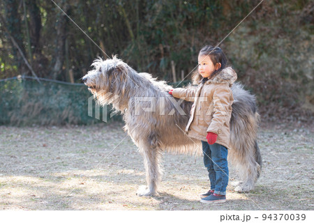 女の子と仲良しのアイリッシュウルフハウンド 女の子と仲良しのアイリッシュウルフハウンド 94370039