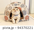 猫ハウス 94370221