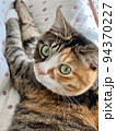 猫アップ 94370227