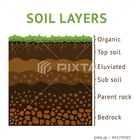 Soil layer section, dirt cross ground. Earth with rock and root plants, formation structure diagram. Diagram or training material. Landscape borders with text. Vector illustration surface 94370495
