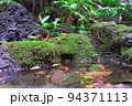 日本らしい庭の苔と水の風景 94371113